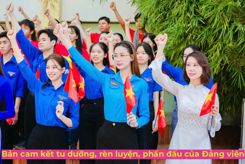 bản cam kết tu dưỡng rèn luyện của đảng viên 2026